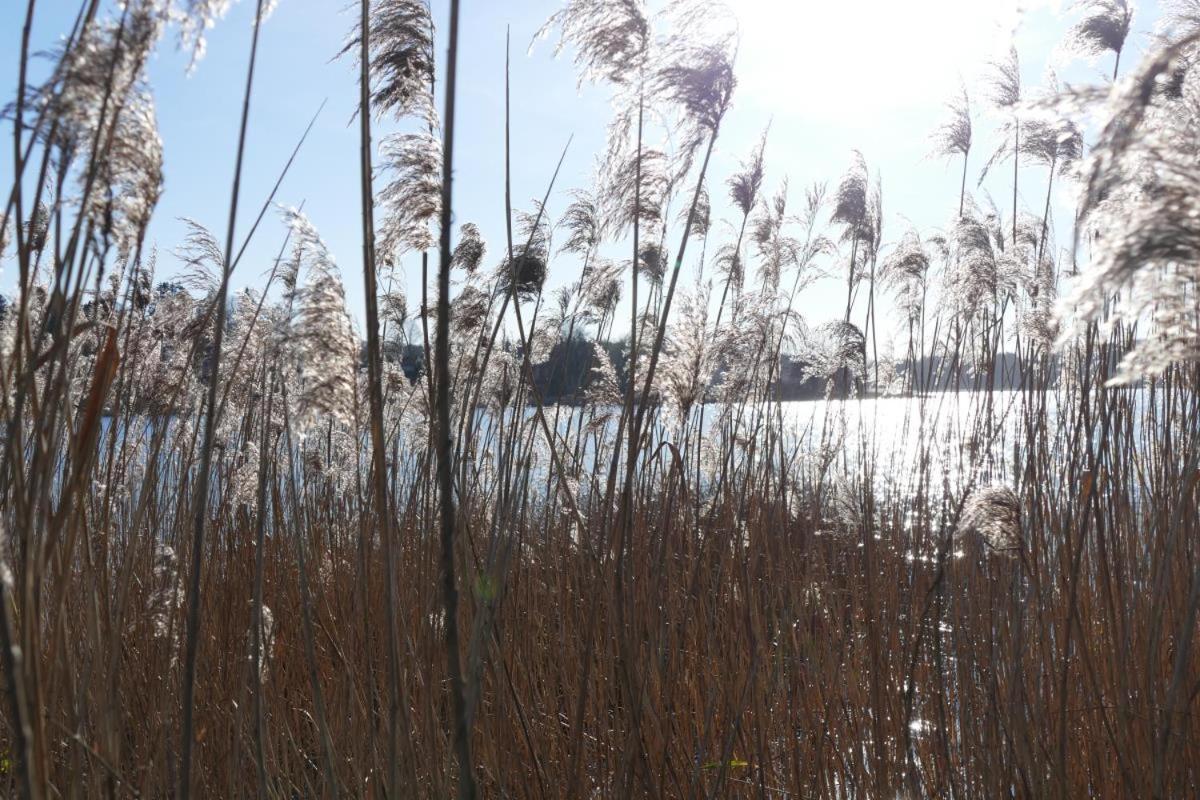 Appartement Am App. 2 Ponitz am See